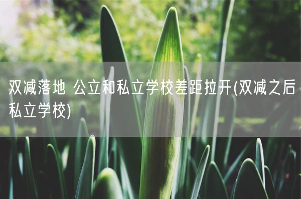 双减落地 公立和私立学校差距拉开(双减之后私立学校)(图1)