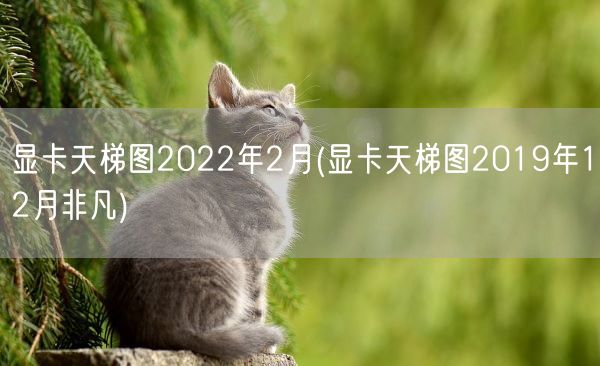 显卡天梯图2022年2月(显卡天梯图2019年12月非凡)(图1)