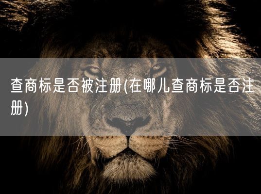 查商标是否被注册(在哪儿查商标是否注册)(图1)