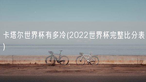 卡塔尔世界杯有多冷(2022世界杯完整比分表)(图1) 卡塔尔世界杯有多冷(2022世界杯完整比分表)(图1)