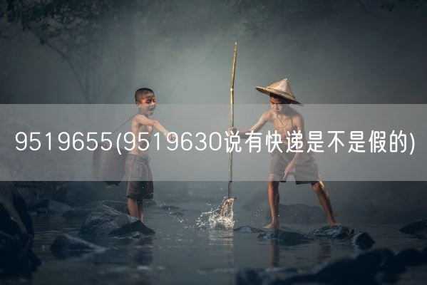 9519655(9519630说有快递是不是假的)(图1)
