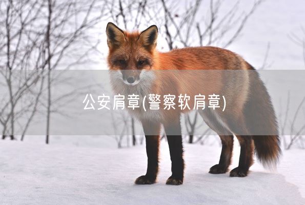 公安肩章(警察软肩章)(图1) 公安肩章(警察软肩章)(图1)