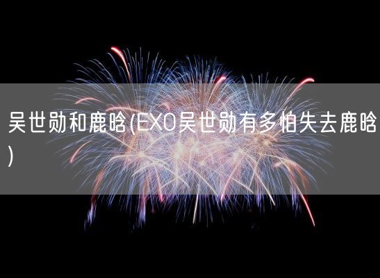吴世勋和鹿晗(EXO吴世勋有多怕失去鹿晗)(图1) 吴世勋和鹿晗(EXO吴世勋有多怕失去鹿晗)(图1)
