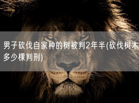 男子砍伐自家种的树被判2年半(砍伐树木多少棵判刑)(图1) 男子砍伐自家种的树被判2年半(砍伐树木多少棵判刑)(图1)