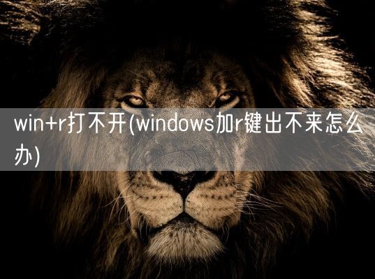 win+r打不开(windows加r键出不来怎么办)(图1)