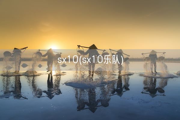 sx10(sx10乐队)(图1)