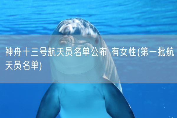 神舟十三号航天员名单公布 有女性(第一批航天员名单)(图1) 神舟十三号航天员名单公布 有女性(第一批航天员名单)(图1)