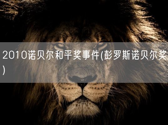 2010诺贝尔和平奖事件(彭罗斯诺贝尔奖)(图1) 2010诺贝尔和平奖事件(彭罗斯诺贝尔奖)(图1)