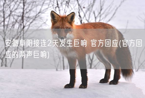 安徽阜阳接连2天发生巨响 官方回应(官方回应的两声巨响)(图1) 安徽阜阳接连2天发生巨响 官方回应(官方回应的两声巨响)(图1)