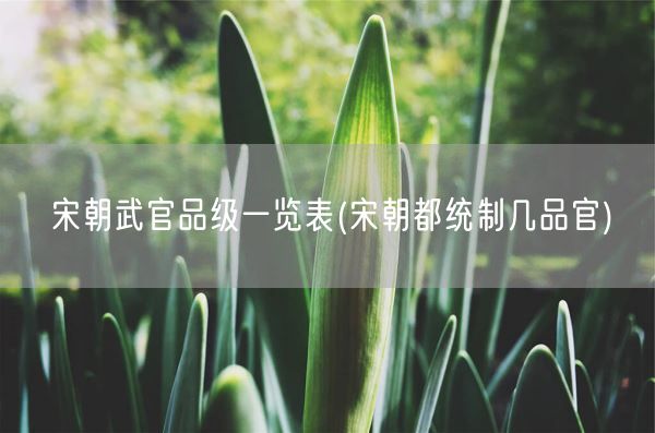 宋朝武官品级一览表(宋朝都统制几品官)(图1)