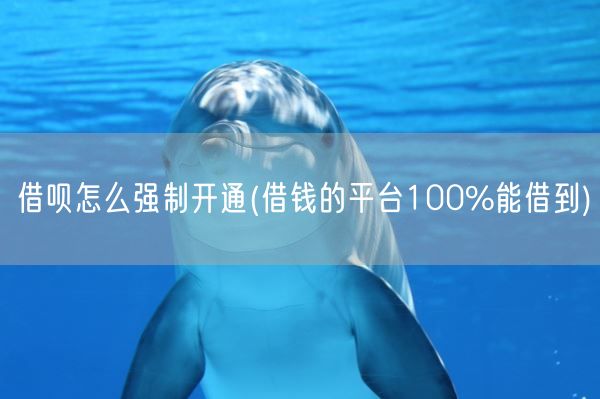 借呗怎么强制开通(借钱的平台100%能借到)(图1) 借呗怎么强制开通(借钱的平台100%能借到)(图1)