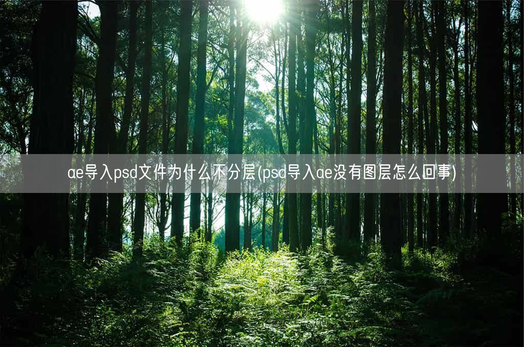 ae导入psd文件为什么不分层(psd导入ae没有图层怎么回事)(图1)