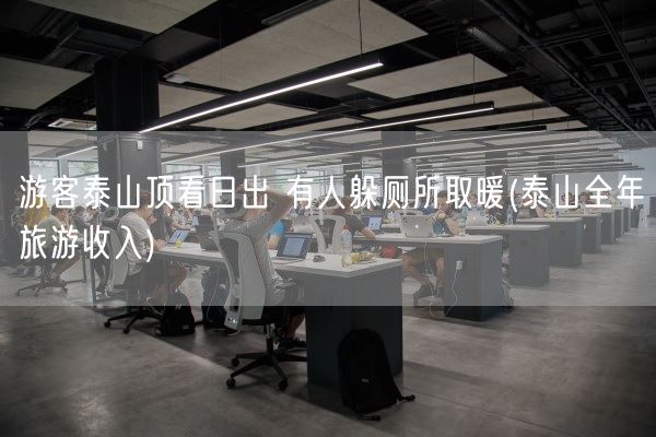 游客泰山顶看日出 有人躲厕所取暖(泰山全年旅游收入)(图1)