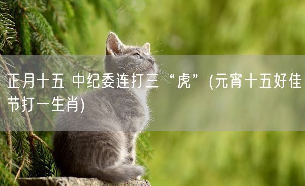 正月十五 中纪委连打三“虎”(元宵十五好佳节打一生肖)(图1) 正月十五 中纪委连打三“虎”(元宵十五好佳节打一生肖)(图1)