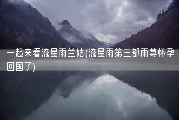 一起来看流星雨兰姑(流星雨第三部雨荨怀孕回国了)(图1) 一起来看流星雨兰姑(流星雨第三部雨荨怀孕回国了)(图1)