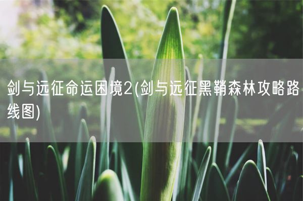 剑与远征命运困境2(剑与远征黑鞘森林攻略路线图)(图1)