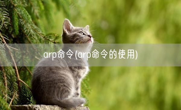 arp命令(arp命令的使用)(图1) arp命令(arp命令的使用)(图1)