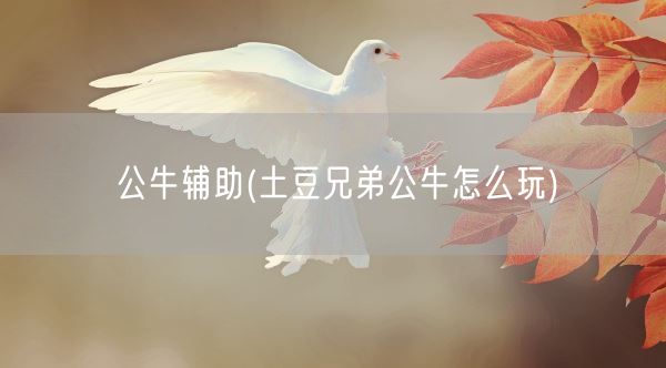 公牛辅助(土豆兄弟公牛怎么玩)(图1)