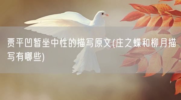 贾平凹暂坐中性的描写原文(庄之蝶和柳月描写有哪些)(图1)