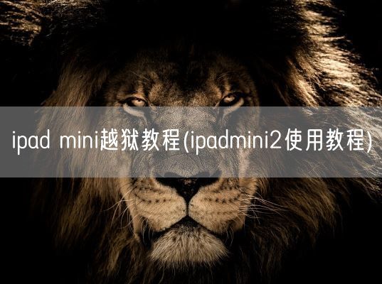 ipad mini越狱教程(ipadmini2使用教程)(图1)
