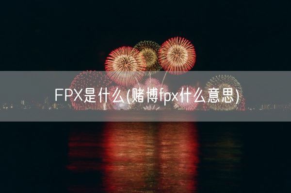 FPX是什么(赌博fpx什么意思)(图1)