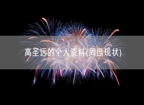 高圣远的个人资料(周迅现状)(图1)