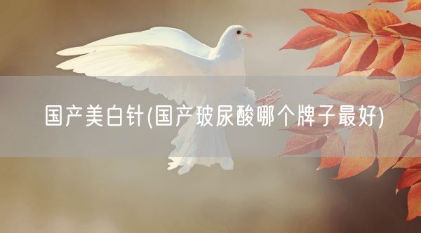 国产美白针(国产玻尿酸哪个牌子最好)(图1)