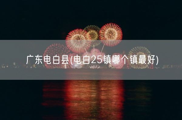 广东电白县(电白25镇哪个镇最好)(图1)