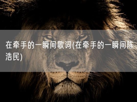 在牵手的一瞬间歌词(在牵手的一瞬间陈浩民)(图1)