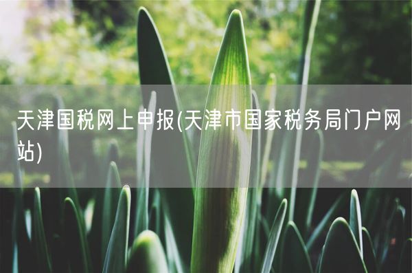 天津国税网上申报(天津市国家税务局门户网站)(图1)