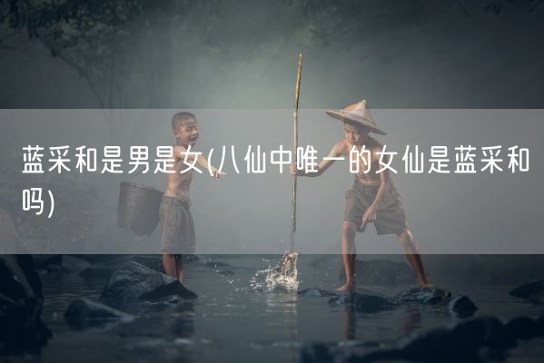 蓝采和是男是女(八仙中唯一的女仙是蓝采和吗)(图1)