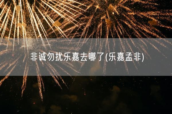 非诚勿扰乐嘉去哪了(乐嘉孟非)(图1)
