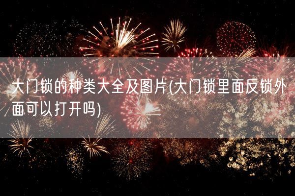 大门锁的种类大全及图片(大门锁里面反锁外面可以打开吗)(图1)