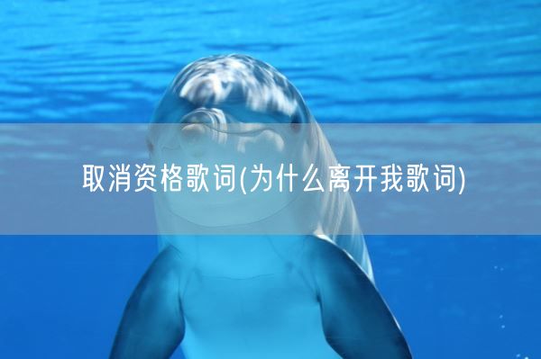 取消资格歌词(为什么离开我歌词)(图1) 取消资格歌词(为什么离开我歌词)(图1)