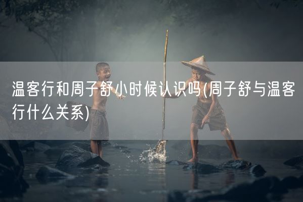 温客行和周子舒小时候认识吗(周子舒与温客行什么关系)(图1)