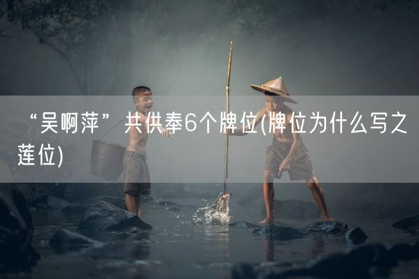 “吴啊萍”共供奉6个牌位(牌位为什么写之莲位)(图1) “吴啊萍”共供奉6个牌位(牌位为什么写之莲位)(图1)