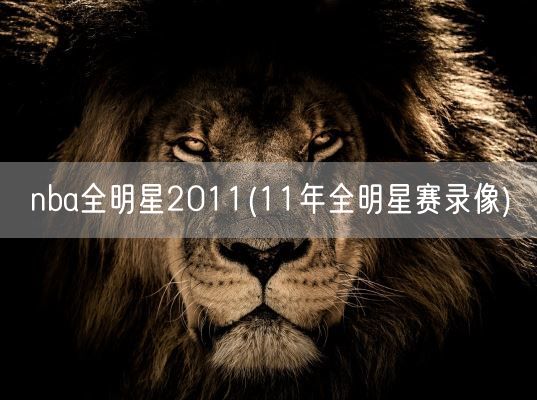 nba全明星2011(11年全明星赛录像)(图1)