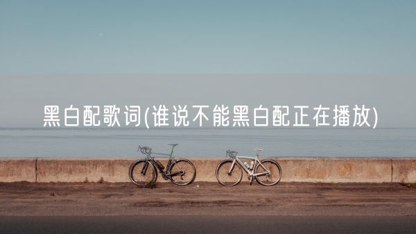 黑白配歌词(谁说不能黑白配正在播放)(图1) 黑白配歌词(谁说不能黑白配正在播放)(图1)