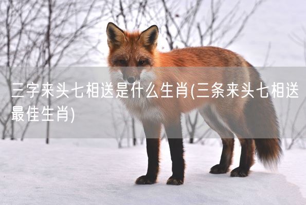 三字来头七相送是什么生肖(三条来头七相送最佳生肖)(图1)