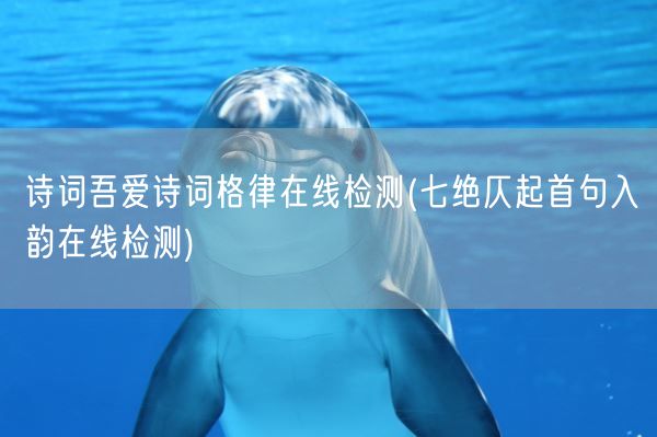 诗词吾爱诗词格律在线检测(七绝仄起首句入韵在线检测)(图1)