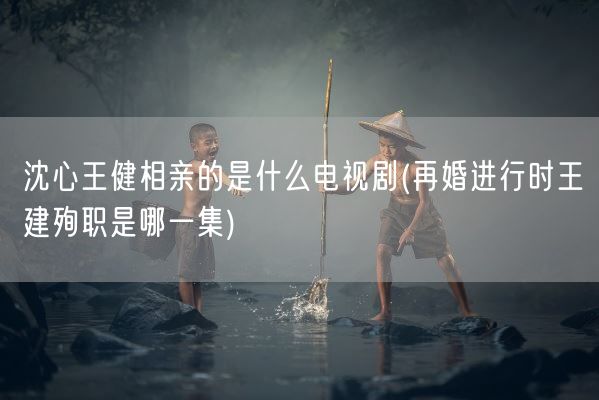 沈心王健相亲的是什么电视剧(再婚进行时王建殉职是哪一集)(图1)