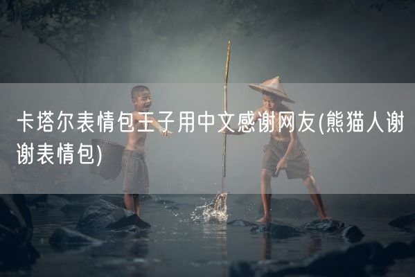 卡塔尔表情包王子用中文感谢网友(熊猫人谢谢表情包)(图1)