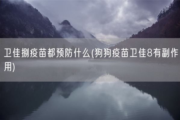 卫佳捌疫苗都预防什么(狗狗疫苗卫佳8有副作用)(图1) 卫佳捌疫苗都预防什么(狗狗疫苗卫佳8有副作用)(图1)
