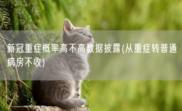 新冠重症概率高不高数据披露(从重症转普通病房不收)(图1) 新冠重症概率高不高数据披露(从重症转普通病房不收)(图1)