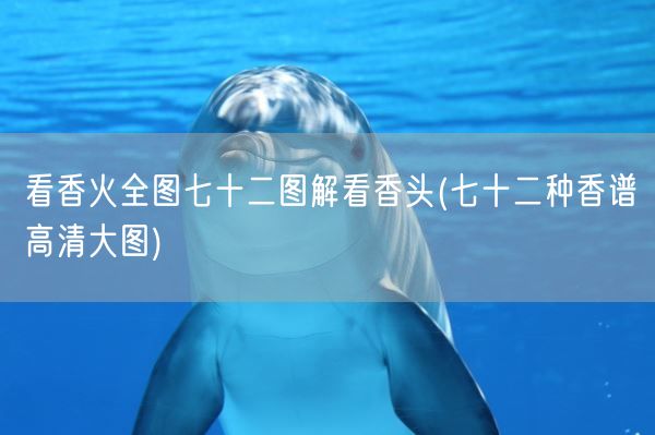 看香火全图七十二图解看香头(七十二种香谱高清大图)(图1) 看香火全图七十二图解看香头(七十二种香谱高清大图)(图1)