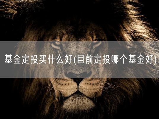 基金定投买什么好(目前定投哪个基金好)(图1) 基金定投买什么好(目前定投哪个基金好)(图1)