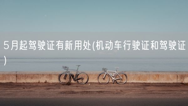 5月起驾驶证有新用处(机动车行驶证和驾驶证)(图1)