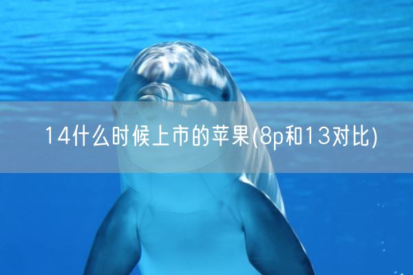 14什么时候上市的苹果(8p和13对比)(图1)