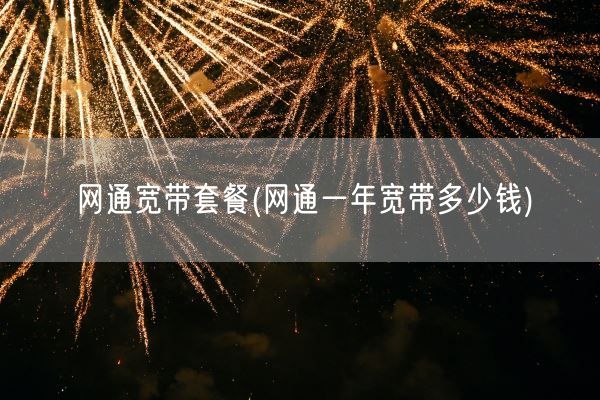 网通宽带套餐(网通一年宽带多少钱)(图1)