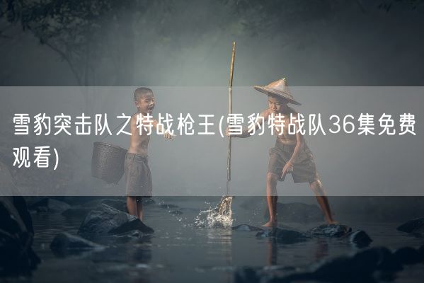 雪豹突击队之特战枪王(雪豹特战队36集免费观看)(图1)